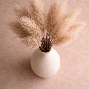 The Alabaster Plumage Minimalist Vessel